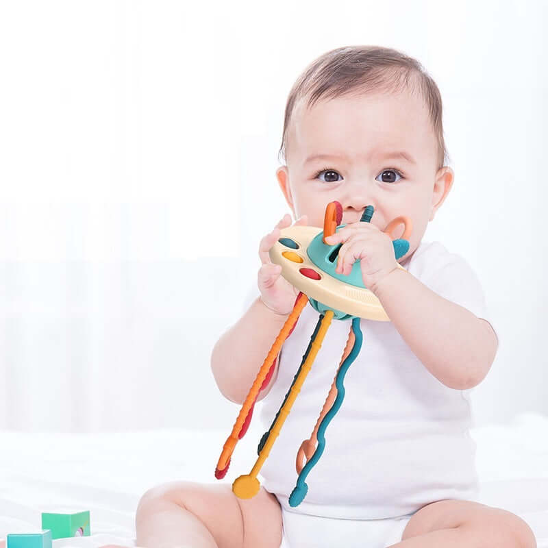 Montessori Educational Pull-Tab